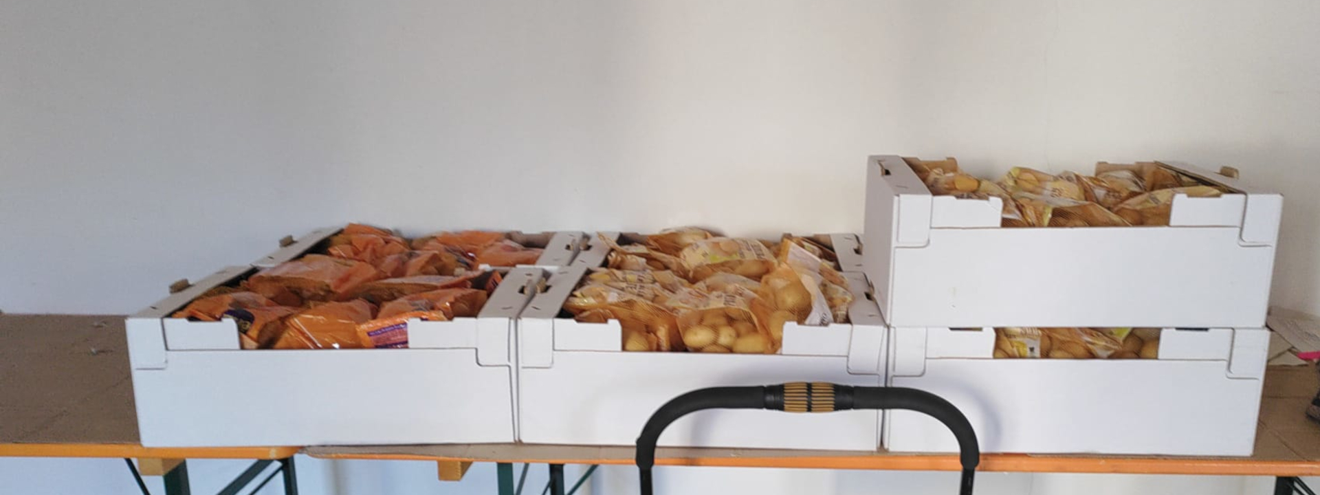 Azienda Romagnoli - cipolle